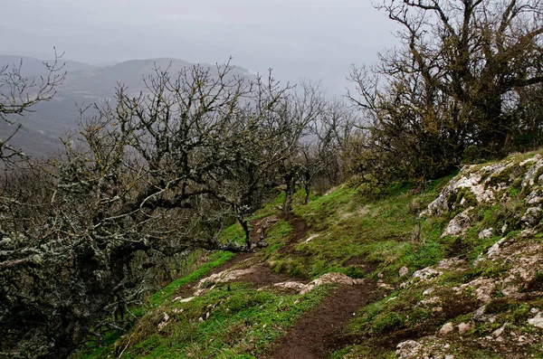Las colinas en la Crimea —  Fotos de Stock
