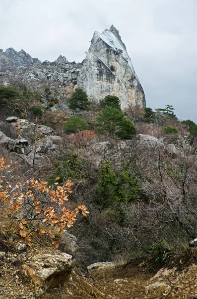 Collines en Crimée — Photo