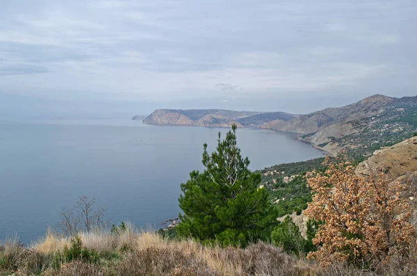 The coast of Crimea near Sevastopol Royalty Free Stock Images