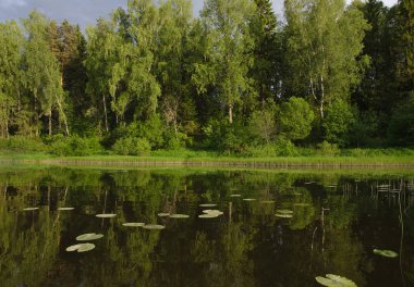 Moskova Nehri üst ulaşır