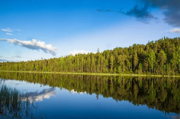 Озеро Kotozero в Карелія, Росія — стокове фото