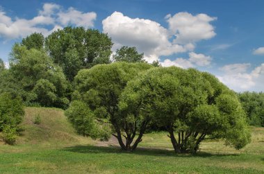 Park, Moskova, Rusya