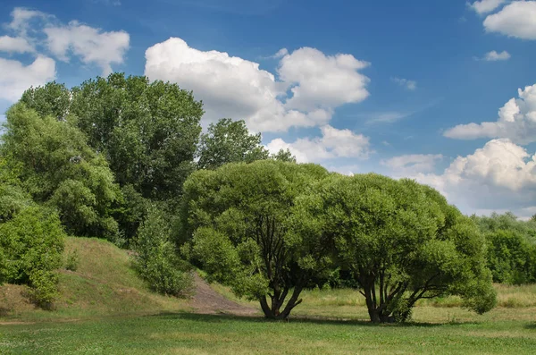 Park w Moskwie, Rosja — Zdjęcie stockowe