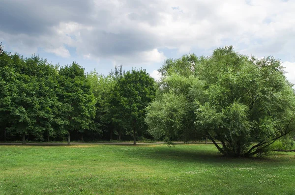 Park, Moskova, Rusya