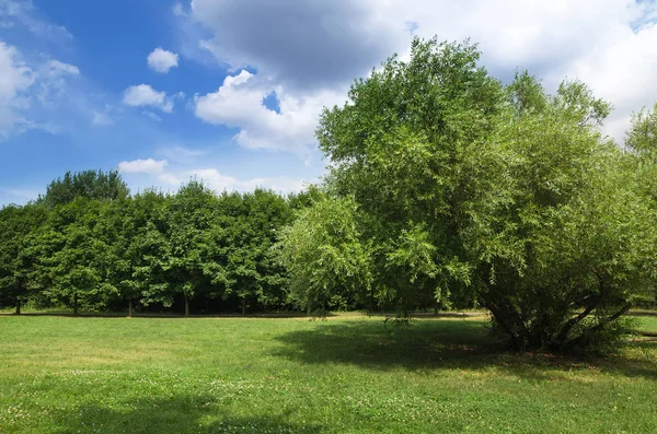 Park, Moskova, Rusya