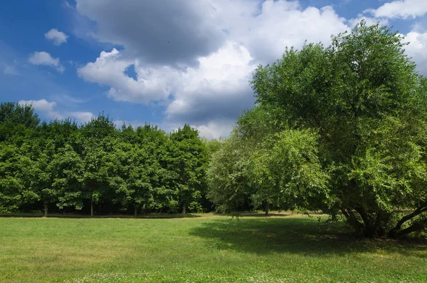 Park, Moskova, Rusya