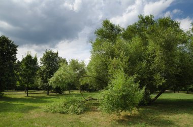 Park, Moskova, Rusya