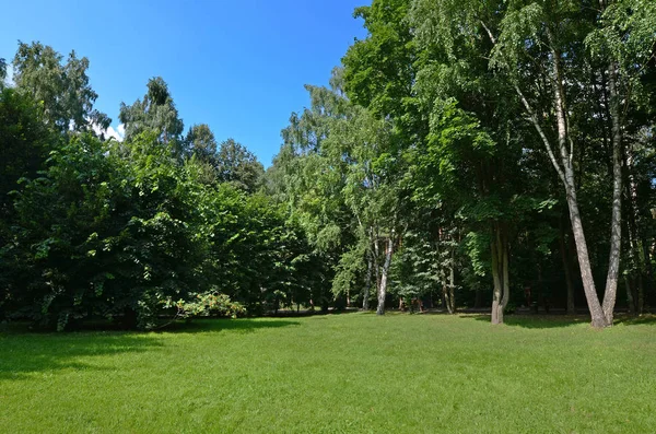 Park, Moskova, Rusya