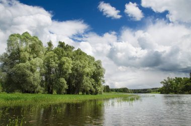 Göl boyunca ağaçlar çevrilidir
