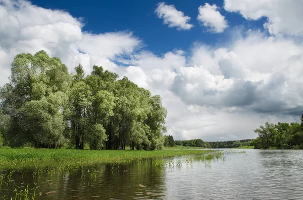 Göl boyunca ağaçlar çevrilidir