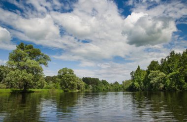 Göl boyunca ağaçlar çevrilidir