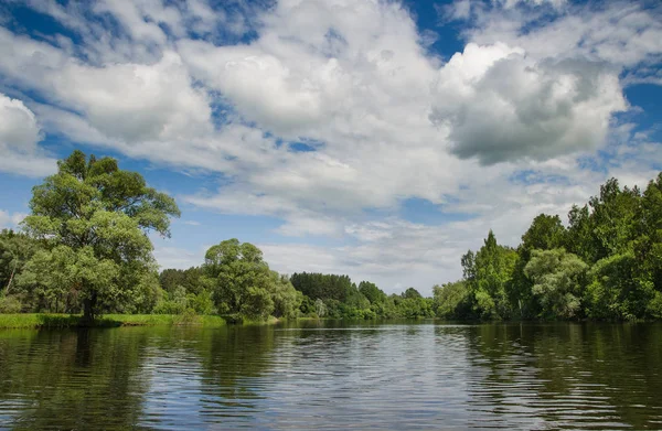Göl boyunca ağaçlar çevrilidir