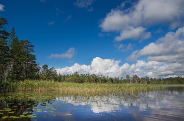 Göl Bolshoye (Kuzey Rusya)