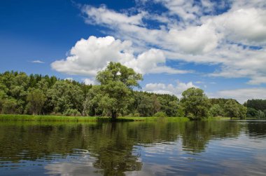Göl boyunca ağaçlar çevrilidir