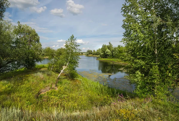 Невеликої річки поблизу Саратов — стокове фото