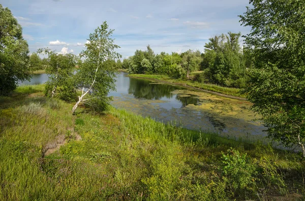 Un piccolo fiume vicino a Saratov — Foto Stock