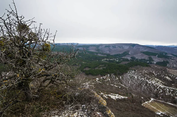 Hills i Krim — Stockfoto