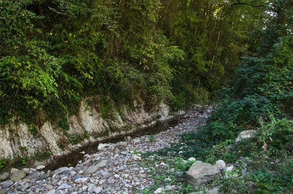 Mammutschlucht an der Schwarzmeerküste Russlands — Stockfoto