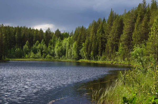 Озеро Kotozero в Карелія, Росія — стокове фото