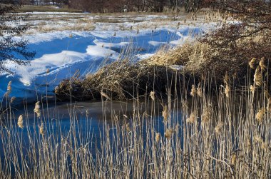 Bir küçük bozkır nehir ilkbaharda, Rusya Federasyonu