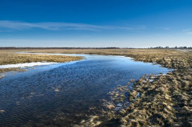 Bir küçük bozkır nehir ilkbaharda, Rusya Federasyonu
