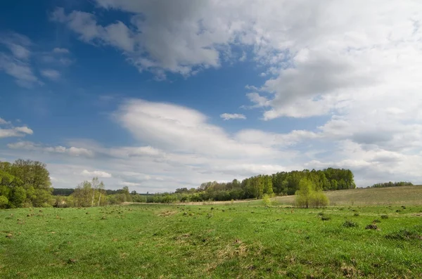 İlkbaharda ağaçlar nehir kıyısında