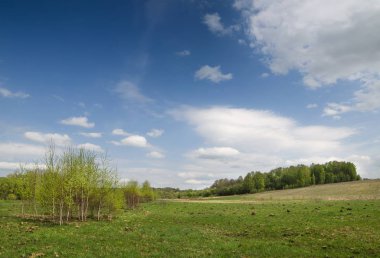 İlkbaharda ağaçlar nehir kıyısında