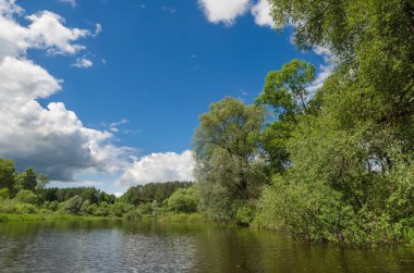 Göl boyunca ağaçlar çevrilidir