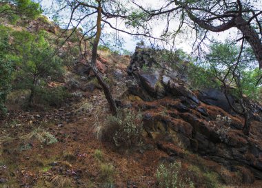 Dağ bitki örtüsü Akdeniz kıyısında