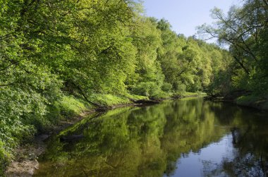 Ormandaki Desna Nehri