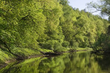 Ormandaki Desna Nehri