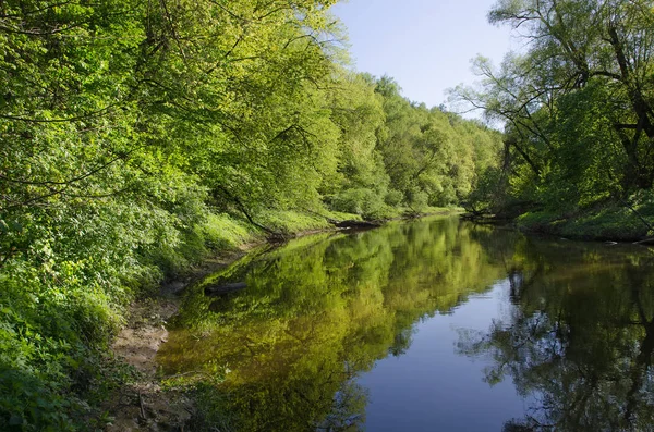 Ormandaki Desna Nehri