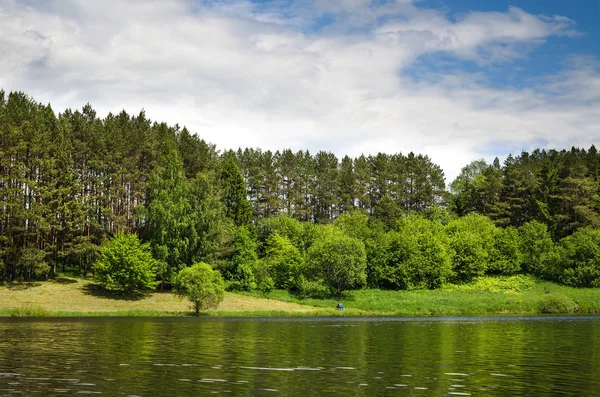Озеро оточене деревами вздовж берегів — стокове фото