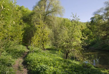 Ormandaki Desna Nehri