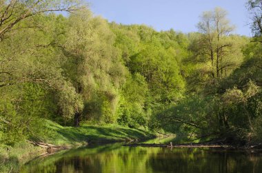 Ormandaki Desna Nehri