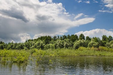 Göl boyunca ağaçlar çevrilidir