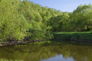 Ormandaki Desna Nehri