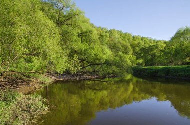 Ormandaki Desna Nehri