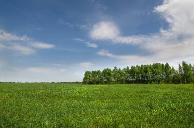 Yeşil alanları ve ormanları ile beyaz bulutlar mavi gökyüzü altında