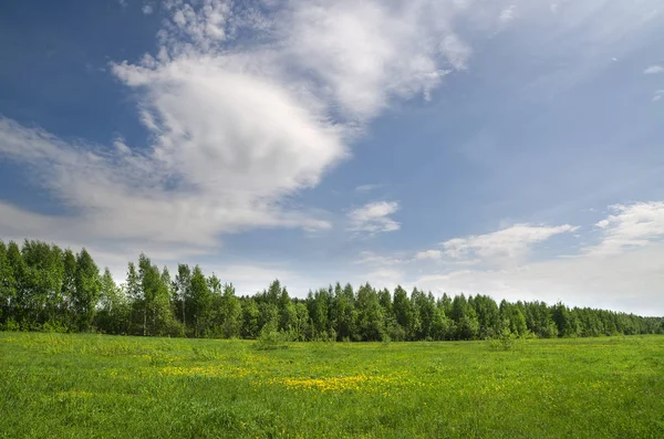 Zielone Pola Lasy Pod Błękitne Niebo Białe Chmury — Zdjęcie stockowe
