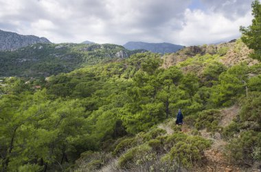 Dağ bitki örtüsü Akdeniz kıyısında