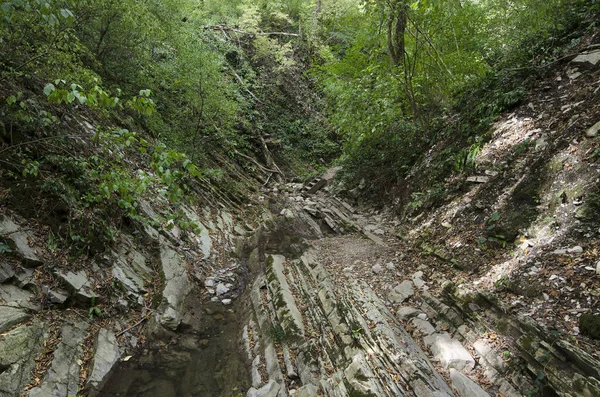 Krabba gorge — Stockfoto