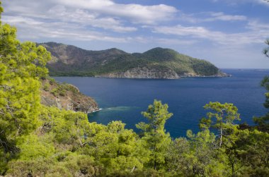 Dağ bitki örtüsü Akdeniz kıyısında