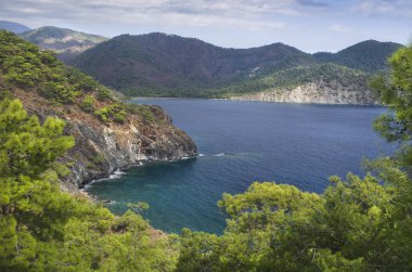 Dağ bitki örtüsü Akdeniz kıyısında