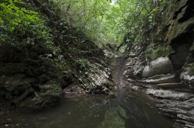 Yengeç gorge