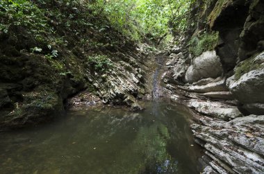 Yengeç gorge