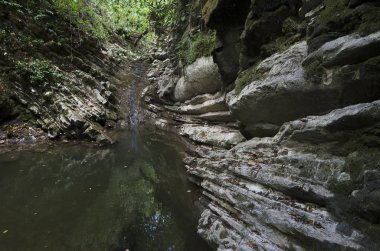 Yengeç gorge
