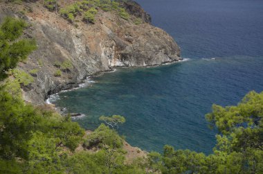 Dağ bitki örtüsü Akdeniz kıyısında
