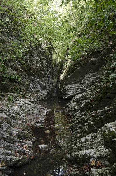 Krabba gorge — Stockfoto