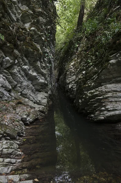 Krabba gorge — Stockfoto